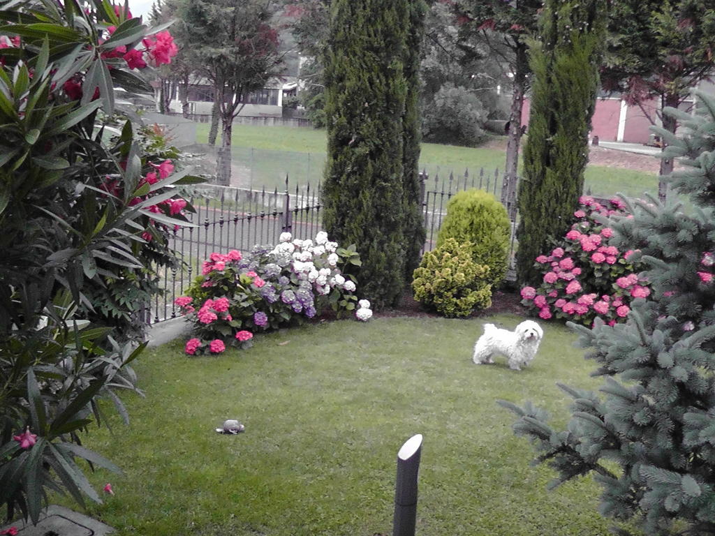 B&B I Viandanti Piancogno Esterno foto